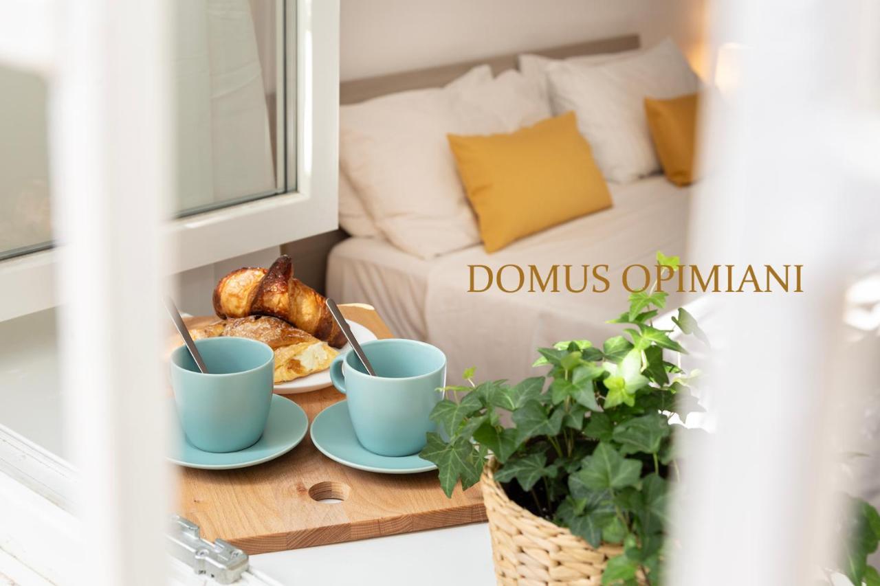 Domus Opimiani * Roma